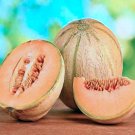 Golden Delicious Cantaloupe Melon Vegetable Seeds Fresh Seeds Fast Shipping