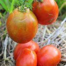 Grahams Good Keeper Tomato Fresh Seeds Fast Shipping