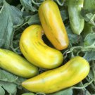 Green Sleeves Tomato Grown To Organic Standards Fresh Seeds Fast Shipping