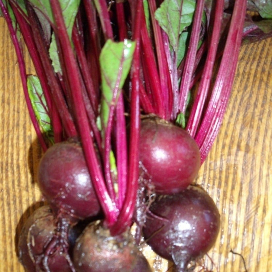 Green Top Bunching Beets Vegetable Fresh Seeds Fast Shipping