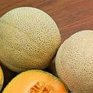 Hales Best Jumbo Cantaloupe Fresh Seeds Fast Shipping