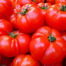 Hamson Dx 52 Tomato Grown To Organic Standards Great For Canning Fresh Seeds Fast Shipping