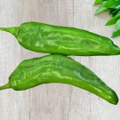 Hatch Mild Green Nm64 Hot Pepper Vegetable Seeds Fresh Seeds Fast Shipping