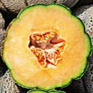 Hearts Of Gold Cantaloupe Organic Fresh Seeds Fast Shipping