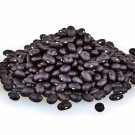 Honey Rock Melon Organic Fresh Seeds Fast Shipping