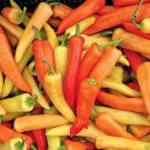 Hungarian Sweet Wax Sweet Pepper Frying Pickling Pepper Fresh Seeds Fast Shipping