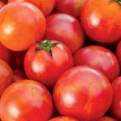 Ishikura Improved Japanese Bunching Onion Vegetable Seeds Fresh Seeds Fast Shipping