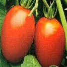 Italian Pepperoncini Sweet Pepper Hot Pepper Seeds Fresh Seeds Fast Shipping