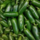 Jalapeno Chili Hot Pepper Fresh Seeds Fast Shipping