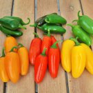 Jalapeno M Hot Pepper Vegetable Seeds Fresh Seeds Fast Shipping