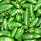 Jalapeno Numex Spice Hot Pepper Mix Fresh Seeds Fast Shipping