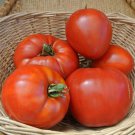 Jewel Mix Nasturtium Gourmet Mix Gourmet Salad Edible Flower Fresh Seeds Fast Shipping