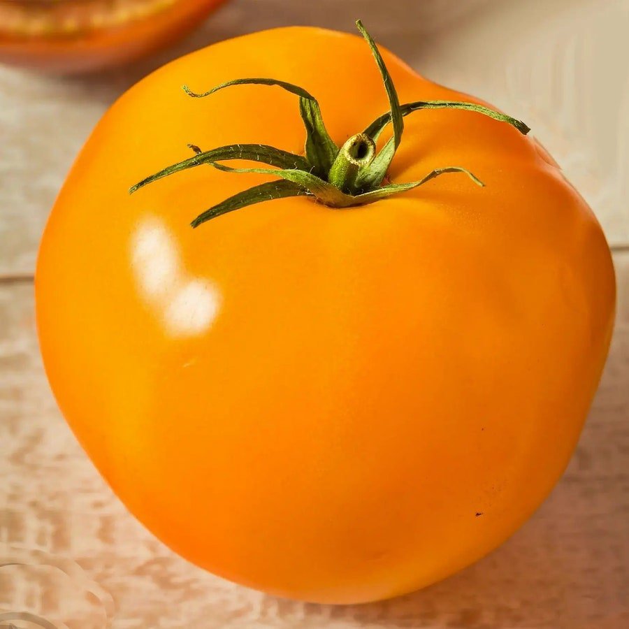 Jory Tomato Vegetable Seeds Fresh Seeds Fast Shipping