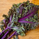 Kale Garden Seed Kit Fresh Grow Indoors Outdoors Fresh Seeds Fast Shipping