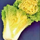 Klondike R7 Watermelon Fresh Seeds Fast Shipping