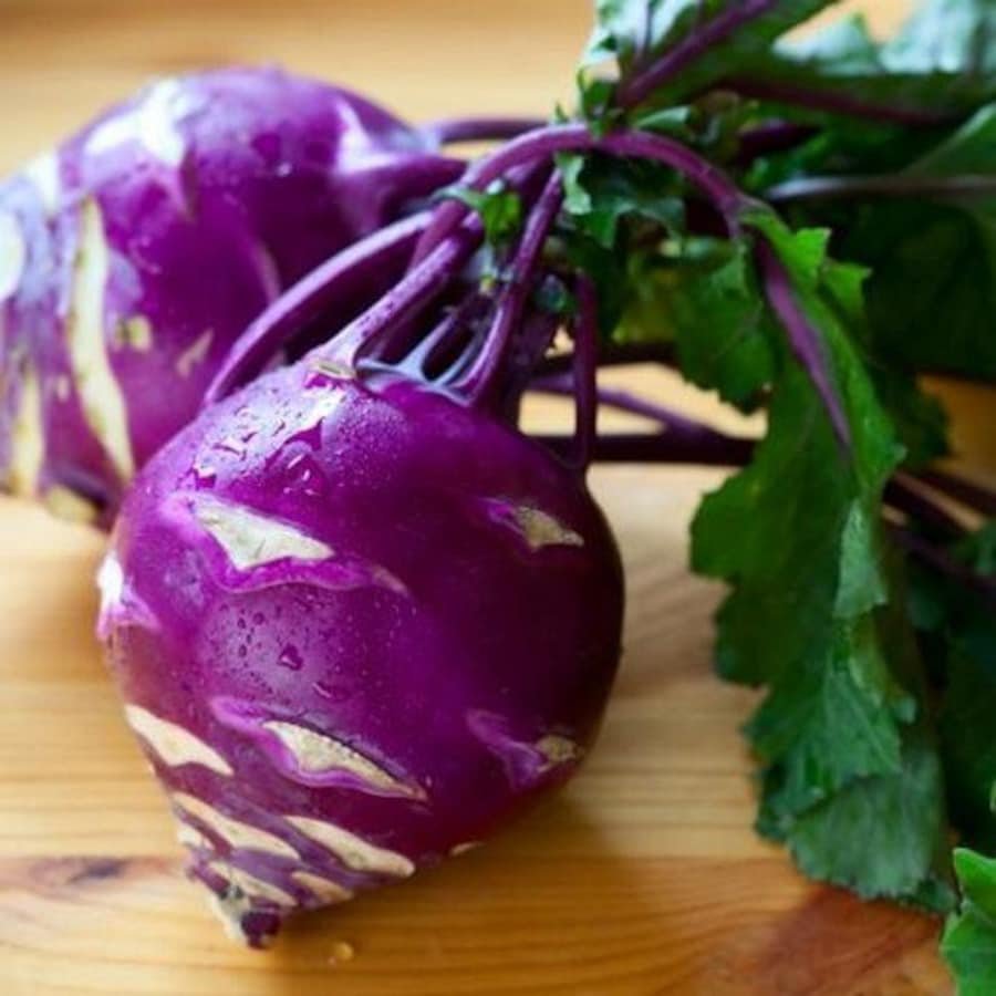 Kogane Chinese Cabbage Vegetable Seeds Fresh Seeds Fast Shipping