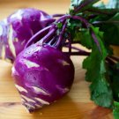 Kogane Chinese Cabbage Vegetable Seeds Fresh Seeds Fast Shipping