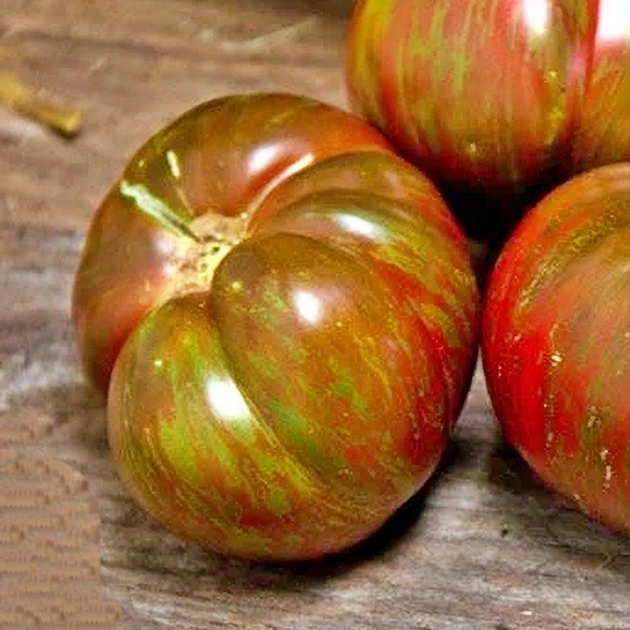 Large Barred Boar Tomato Vegetable Seeds Fresh Seeds Fast Shipping