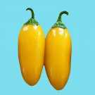 Lemon Spice Jalapeno Pepper Fresh Seeds Fast Shipping