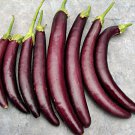 Long Purple Eggplant Vegetable Seeds Fresh Seeds Fast Shipping