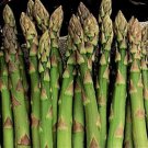 Mary Washington Asparagus Garden Marvelously Productive Best Fresh Seeds Fast Shipping