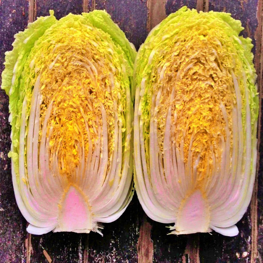 Matsushima Japanese Napa Cabbage Vegetable Fresh Seeds Fast Shipping