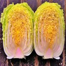 Matsushima Japanese Napa Cabbage Vegetable Fresh Seeds Fast Shipping