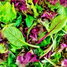 Mesclun Mixed Greens Lettuce Mix Fresh Seeds Fast Shipping