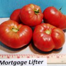 Mortgage Lifter Tomato Grown To Organic Standards Fresh Seeds Fast Shipping
