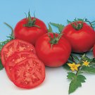 Moscow Tomato Garden Fresh Seeds Fast Shipping
