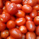 Napoli Roma Tomato Grown To Organic Standards Fresh Seeds Fast Shipping