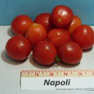 Napoli Tomato Extreme Producer Very Flavorful Great Canning Fresh Seeds Fast Shipping