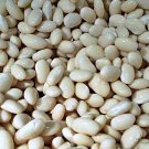 Navy Dry Shell Beans Fresh Seeds Fast Shipping