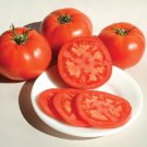 Nepal Tomato Fresh Seeds Fast Shipping
