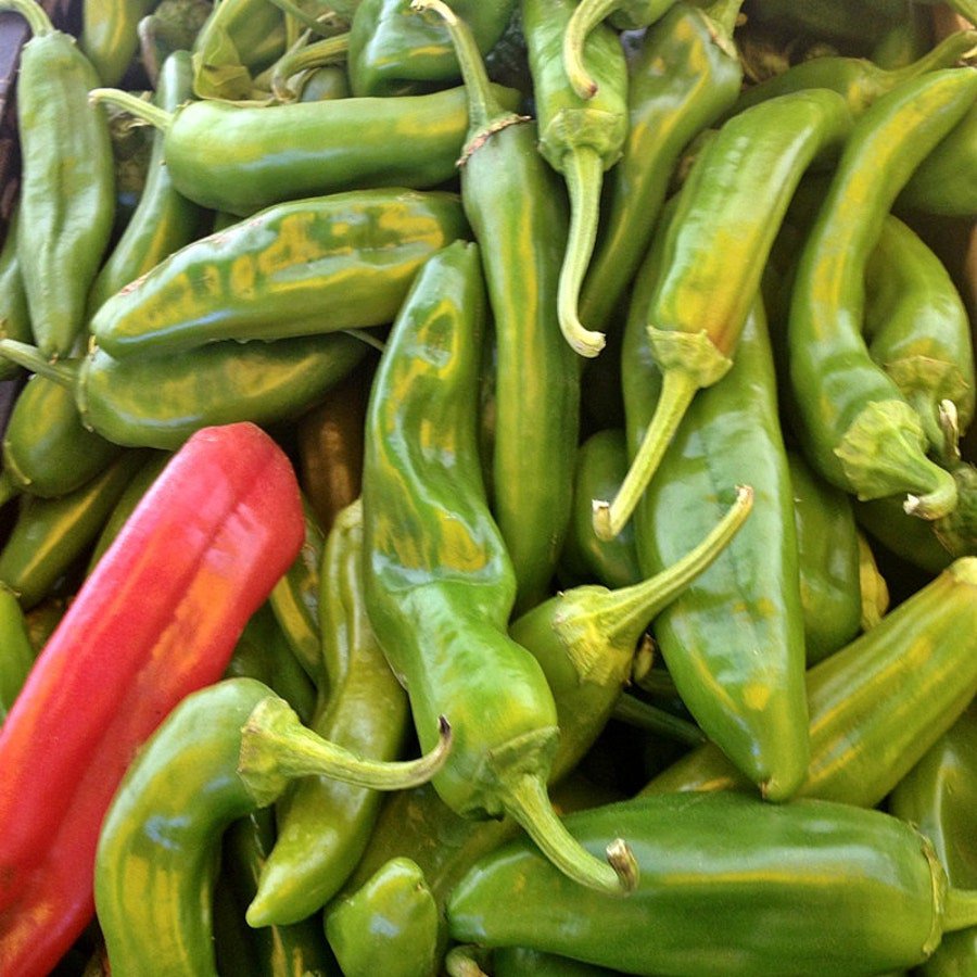 Numex Joe E Parker Hot Pepper Vegetable Fresh Seeds Fast Shipping