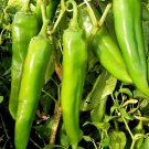 Numex Sandia Hot Pepper Vegetable Seeds Fresh Seeds Fast Shipping