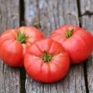 Omas Pink Tomato Vegetable Fresh Seeds Fast Shipping