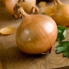 Onion Walla Walla Sweet Vegetable Seeds Allium Cepa 50 Seeds Fresh Seeds Fast Shipping