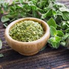 Oregano Italian Herb Seeds Origanum Vulgare 200 Seeds Fresh Seeds Fast Shipping