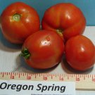 Oregon Spring Tomato Grown To Organic Standards Fresh Seeds Fast Shipping