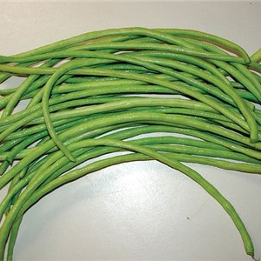 Oriental Green Yard Long Pole Beans Asian Green Noodle Asparagus Fresh Seeds Fast Shipping