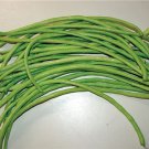 Oriental Green Yard Long Pole Beans Asian Green Noodle Asparagus Fresh Seeds Fast Shipping