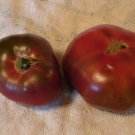 Paul Robeson Tomato Grown To Organic Standards Fresh Seeds Fast Shipping