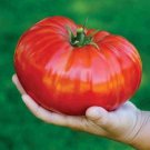 Pink Beefsteak Tomato Vegetable Fresh Seeds Fast Shipping