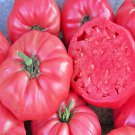 Pink Brandywine Tomato Sudduth’S Amish Strain Fresh Seeds Fast Shipping