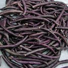 Purple Podded Pole Beans Garden Seed Stringless Fresh Flavor Fresh Seeds Fast Shipping