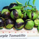 Purple Tomatillo Vegetable Seeds Fresh Seeds Fast Shipping
