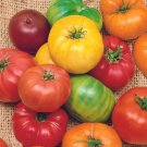 Rainbow Beefsteak Mix Tomato Vegetable Fresh Seeds Fast Shipping