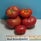 Red Brandywine Tomato Grown To Organic Standards Fresh Seeds Fast Shipping