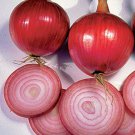 Red Burgundy Onion Garden Seed Fresh Seeds Fast Shipping